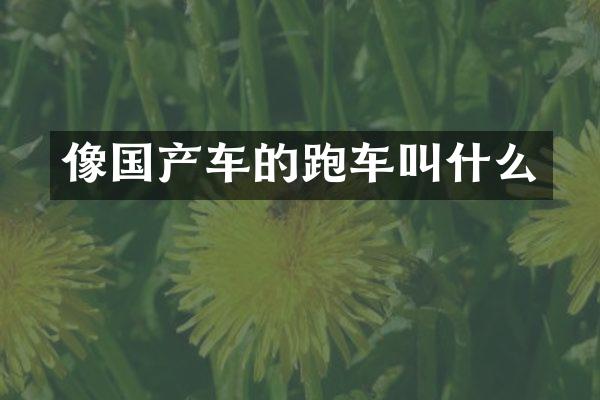 像国产车的跑车叫什么