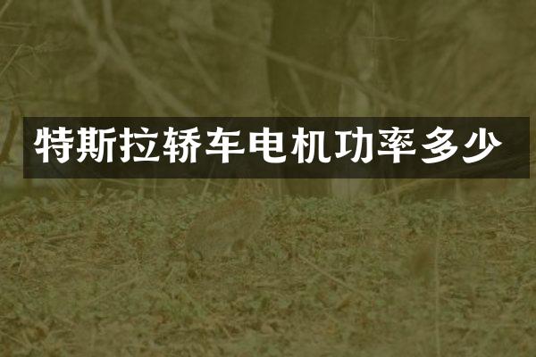 特斯拉轿车电机功率多少