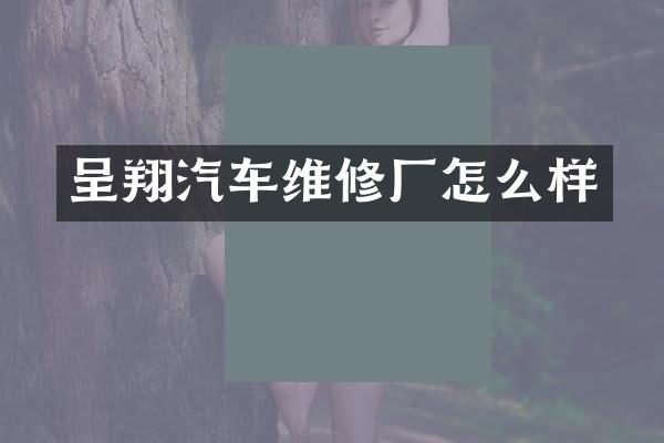 呈翔汽车维修厂怎么样