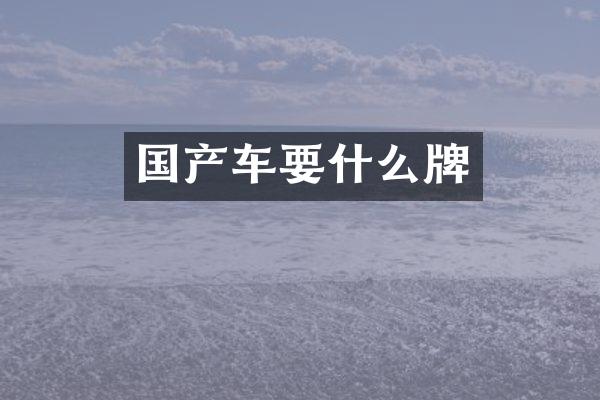 国产车要什么牌