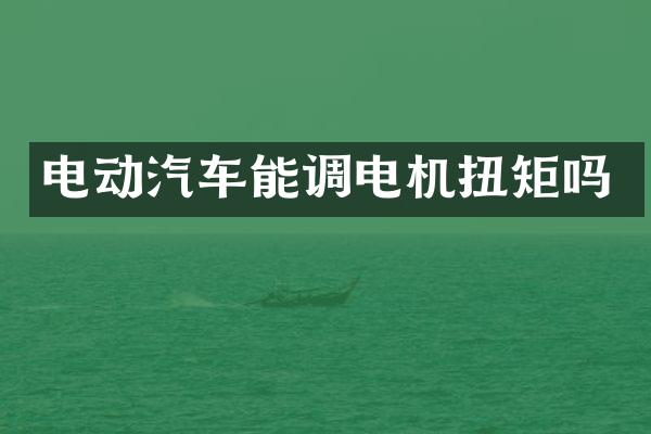 电动汽车能调电机扭矩吗