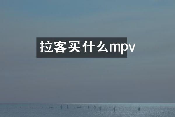 拉客买什么mpv
