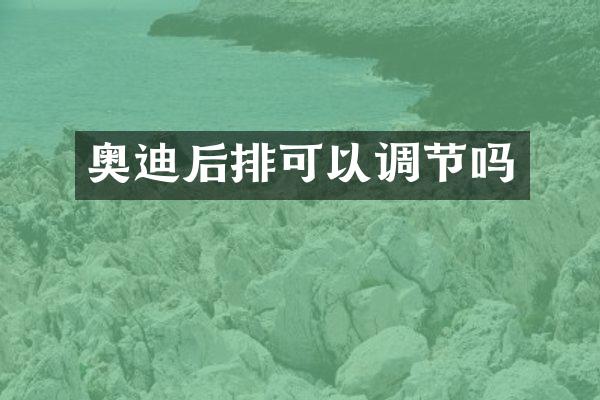 奥迪后排可以调节吗