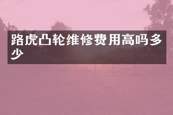 路虎凸轮维修费用高吗多少