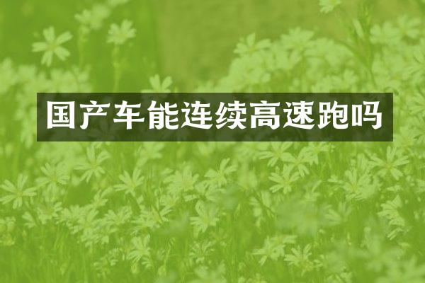 国产车能连续高速跑吗