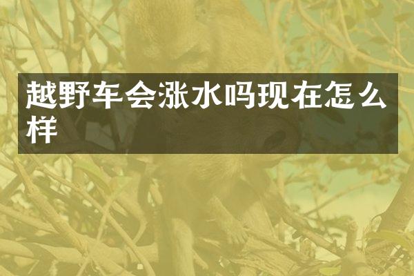 越野车会涨水吗现在怎么样