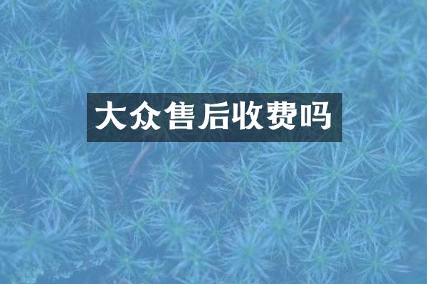 大众售后收费吗