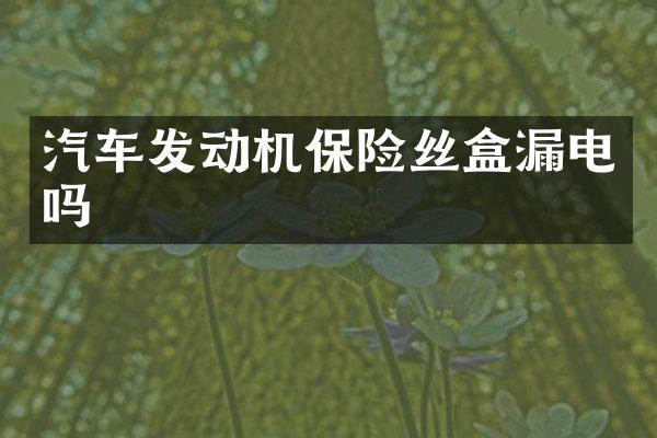 汽车发动机保险丝盒漏电吗