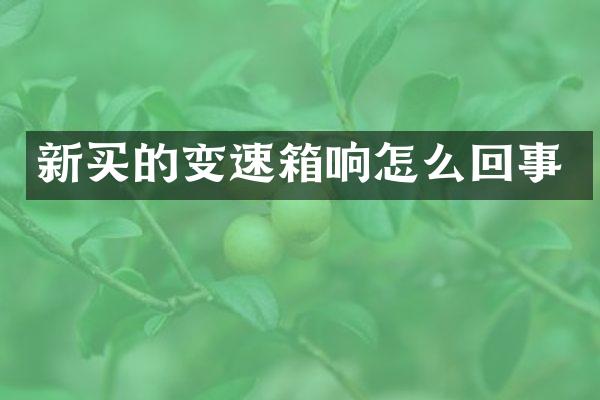 新买的变速箱响怎么回事