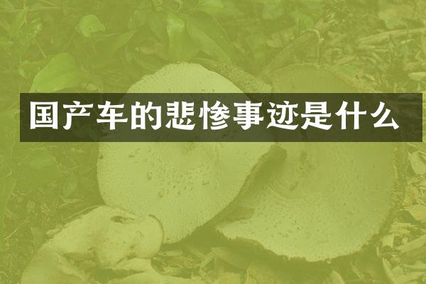 国产车的悲惨事迹是什么
