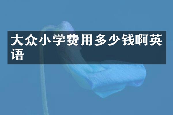 大众小学费用多少钱啊英语