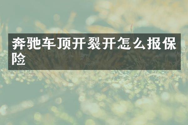 奔驰车顶开裂开怎么报保险
