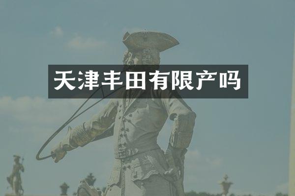 天津丰田有限产吗