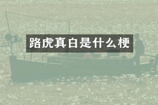 路虎真白是什么梗