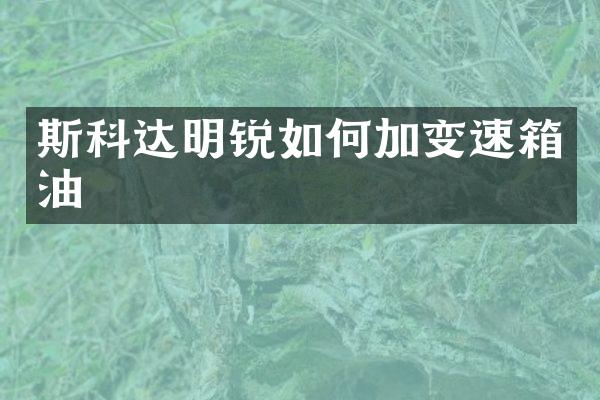 斯科达明锐如何加变速箱油