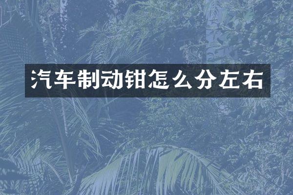 汽车制动钳怎么分左右