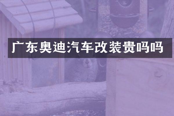 广东奥迪汽车改装贵吗吗