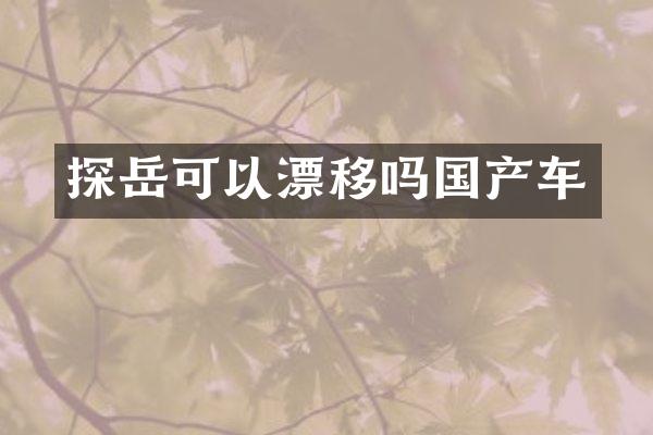探岳可以漂移吗国产车
