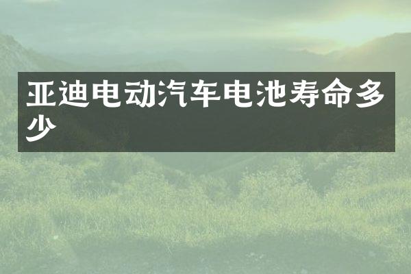 亚迪电动汽车电池寿命多少