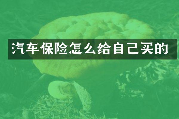 汽车保险怎么给自己买的
