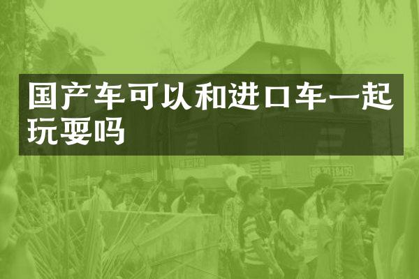 国产车可以和进口车一起玩耍吗