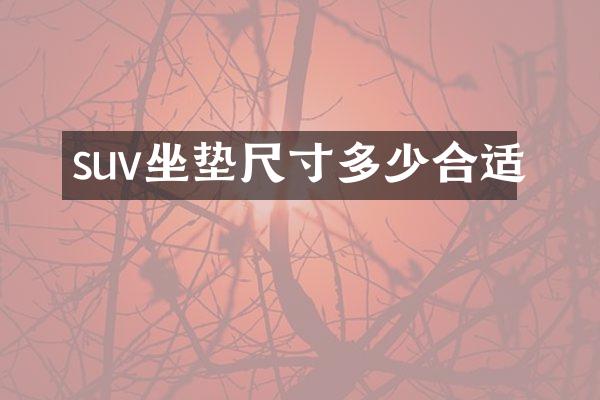 suv坐垫尺寸多少合适