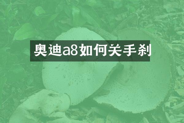 奥迪a8如何关手刹