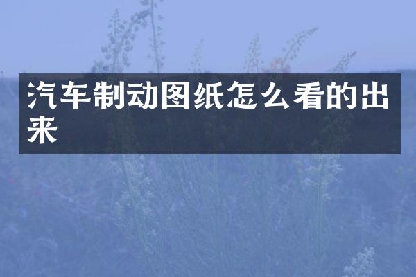 汽车制动图纸怎么看的出来