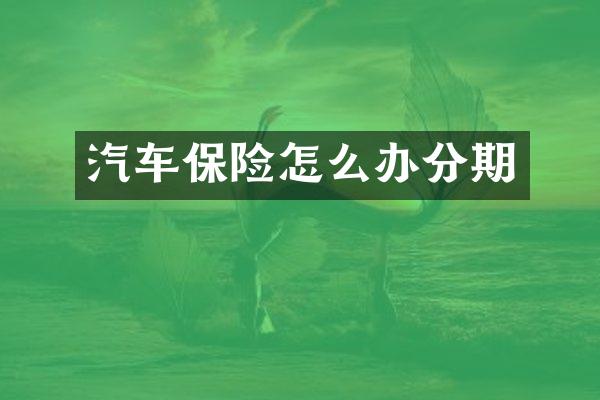 汽车保险怎么办分期