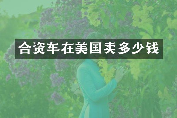 合资车在美国卖多少钱