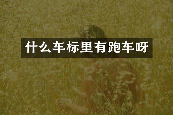 什么车标里有跑车呀