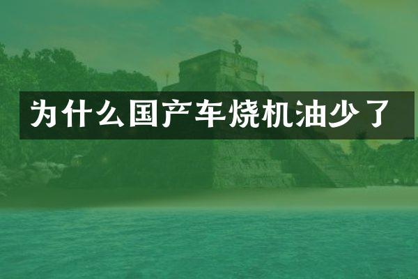 为什么国产车烧机油少了