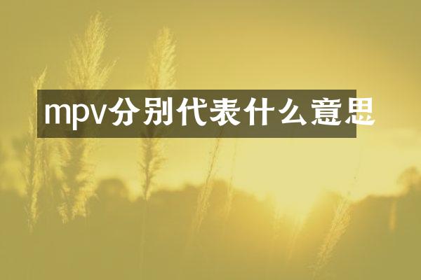 mpv分别代表什么意思