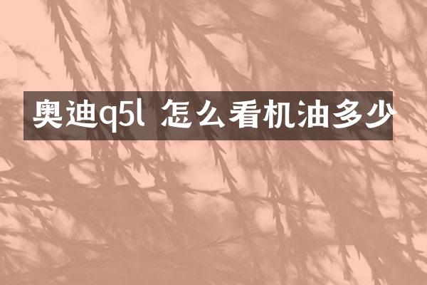 奥迪q5l 怎么看机油多少