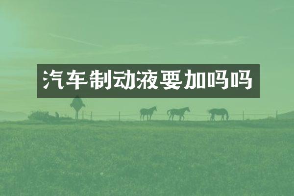 汽车制动液要加吗吗
