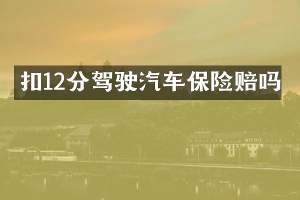 扣12分驾驶汽车保险赔吗