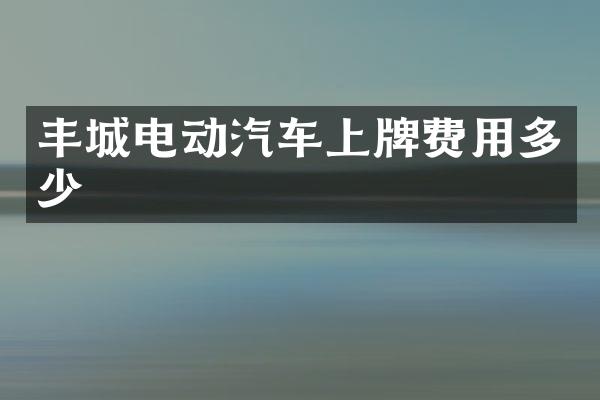 丰城电动汽车上牌费用多少