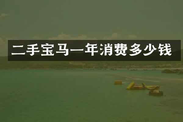 二手宝马一年消费多少钱