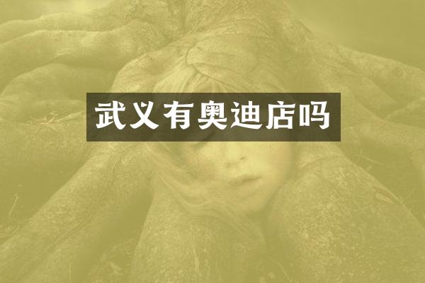 武义有奥迪店吗