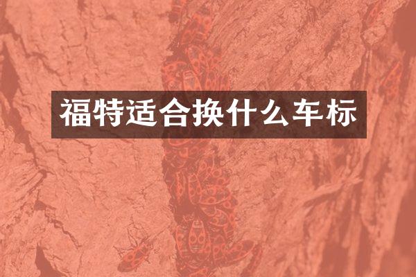 福特适合换什么车标