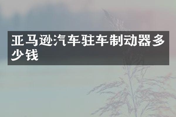 亚马逊汽车驻车制动器多少钱