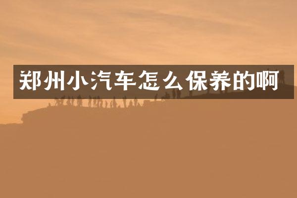 郑州小汽车怎么保养的啊