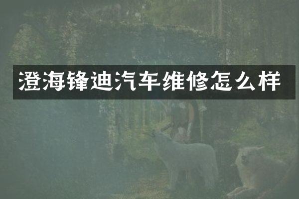 澄海锋迪汽车维修怎么样