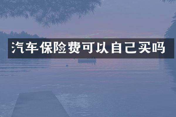 汽车保险费可以自己买吗