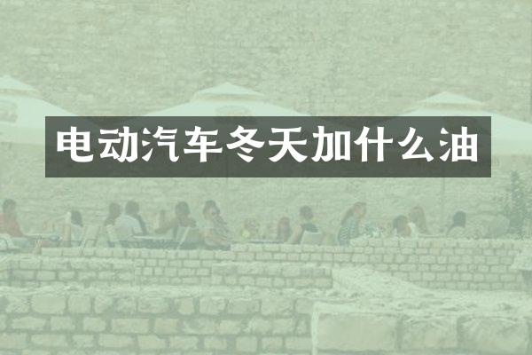 电动汽车冬天加什么油