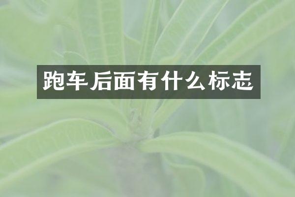 跑车后面有什么标志