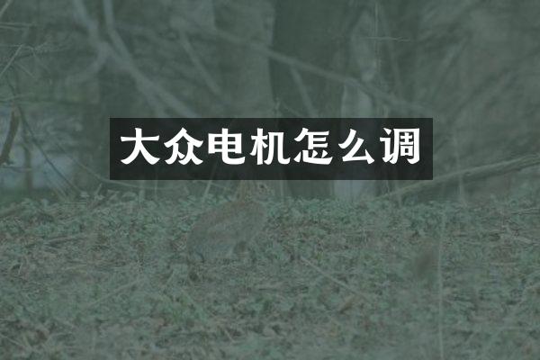 大众电机怎么调