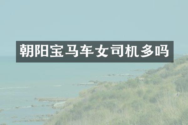 朝阳宝马车女司机多吗