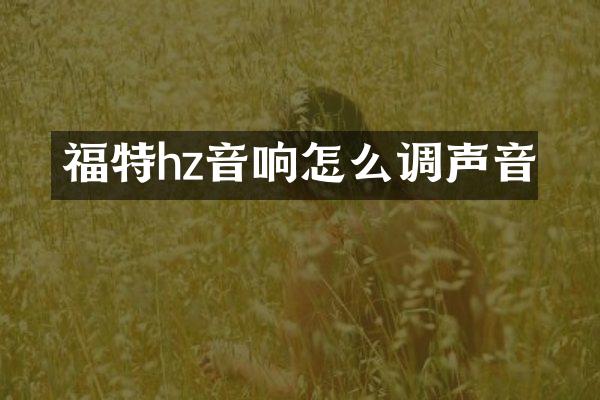福特hz音响怎么调声音