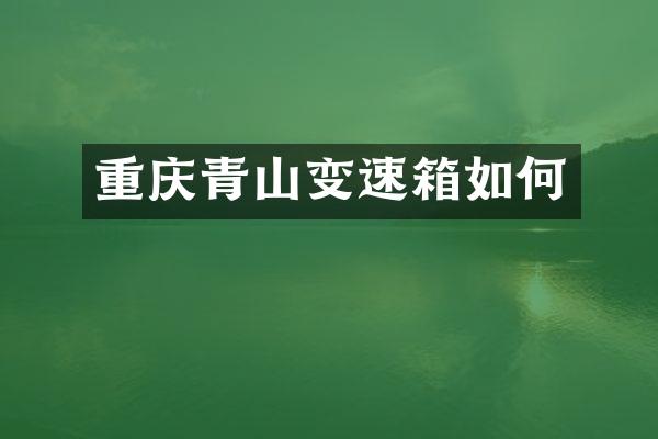 重庆青山变速箱如何